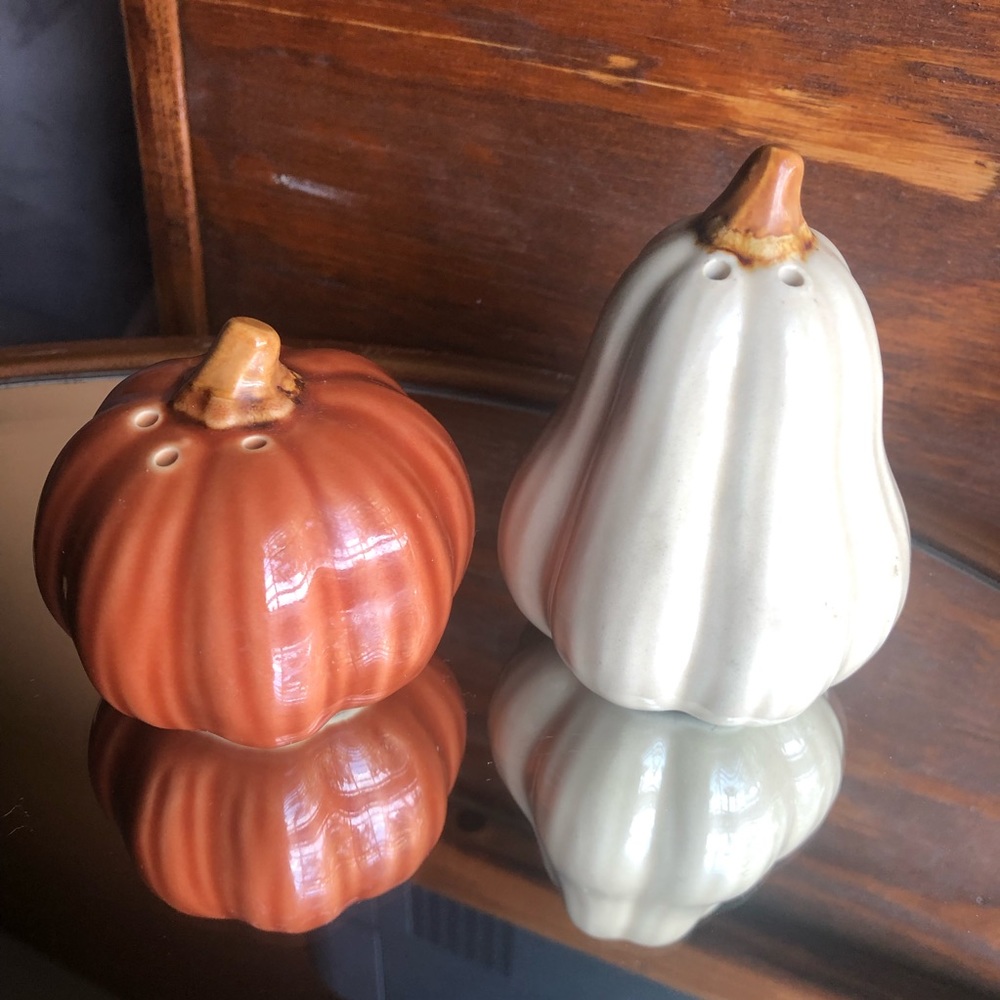 Fall pumpkin squash salt and pepper shaker
